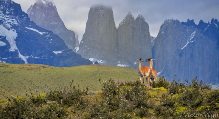 Backpacking i Chile: Torres del Paine, Patagonien