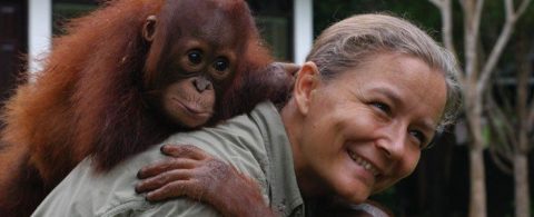 At bo med orangutangerne