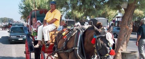 Aegina – En juvel i Athens baghave