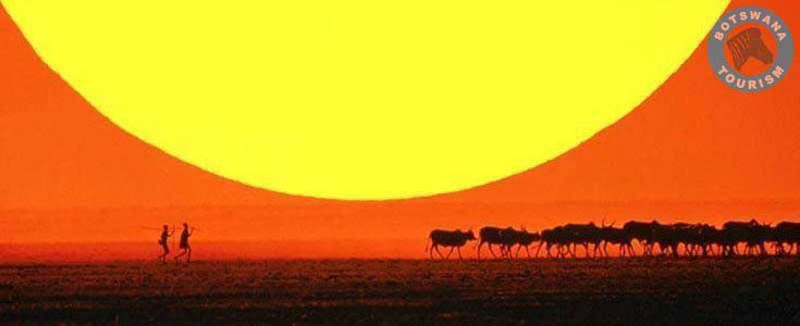 Bushmænd i Botswana