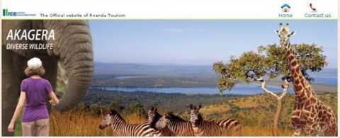 Rejser til Rwanda – Fantastiske naturoplevelser