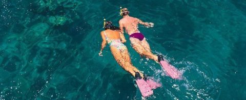 Great Barrier Reef – Verdens største naturlige akvarium