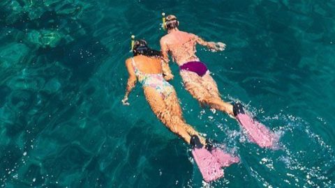 Great Barrier Reef – Verdens største naturlige akvarium