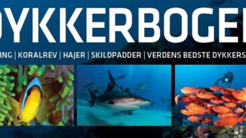 Dykkerbogen (boganmeldelse)