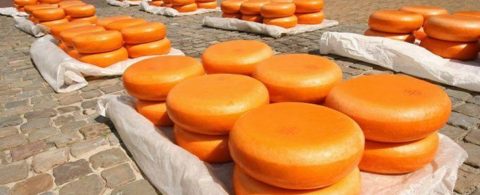 Gouda meget mere end lækker ost?