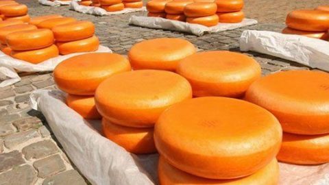 Gouda meget mere end lækker ost?