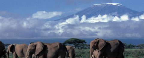Kilimanjaro 5.895 meter