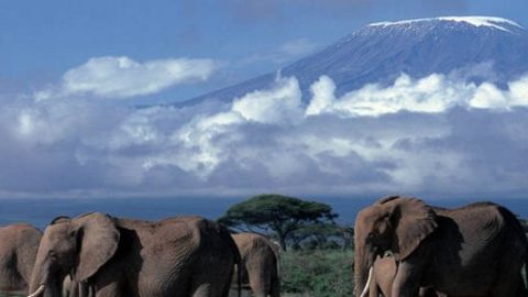 Kilimanjaro 5.895 meter