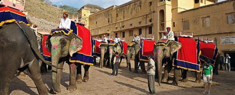 Hvad koster en backpackerrejse i Indien?