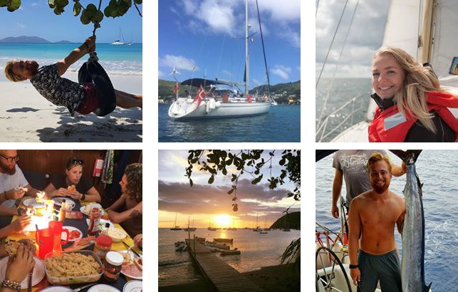 Dejlige gaste billeder