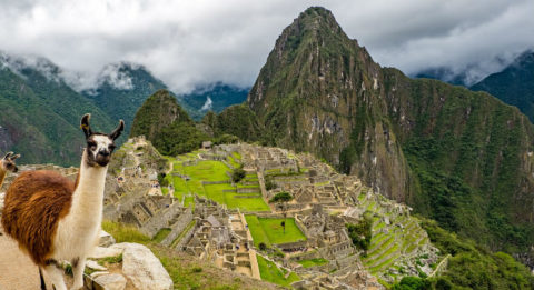Inca Trail til Machu Picchu