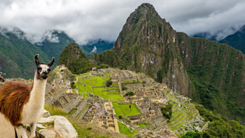 Inca Trail til Machu Picchu