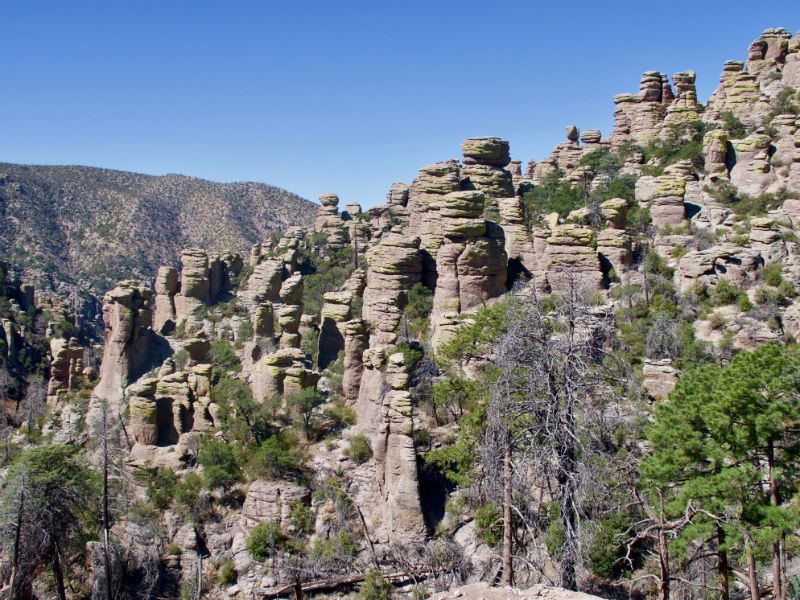 Chiricahua