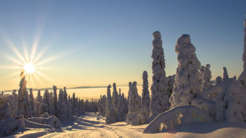 Oplev Laplands storslåede natur