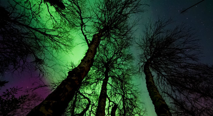 Nordlys