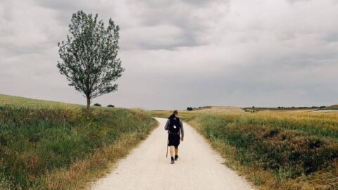 Caminoen – en af de vildeste vandreture i verden