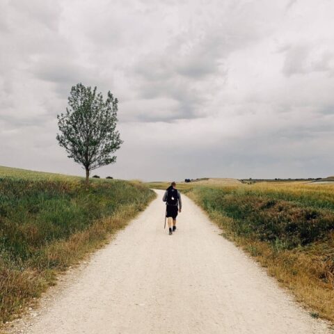 Caminoen – en af de vildeste vandreture i verden