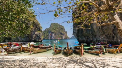 Rejser til Thailand: Vores guide til Bangkok, Krabi, & Khao Sok National Park (2023)